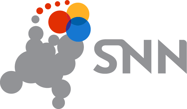 SNN logo